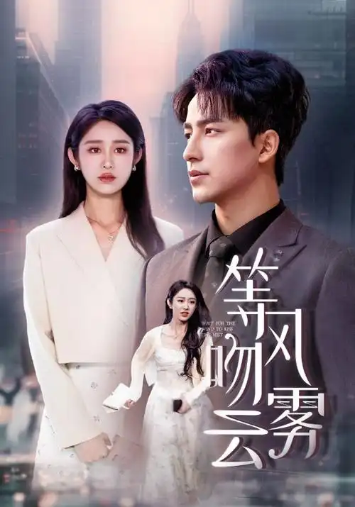 无声的证词,电视剧,2026